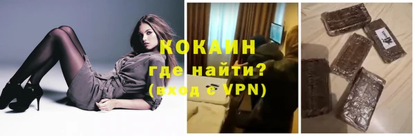 гидра Магас