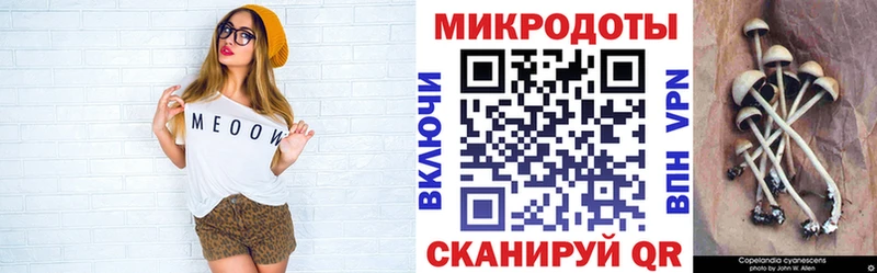 Псилоцибиновые грибы ЛСД цена Приморско-Ахтарск